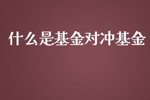 什么是基金对冲基金_期货手续费一览表_第1张_原油期货直播室_道指期_期货手续费一览表_国际期货 什么是基金对冲基金_https://wap.15771688.com_期货手续费一览表_第1张