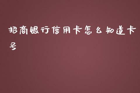 招商银行信用卡怎么知道卡号_https://wap.15771688.com_道指期货_第1张