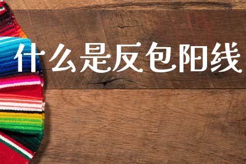 什么是反包阳线_https://wap.15771688.com_国际期货_第1张