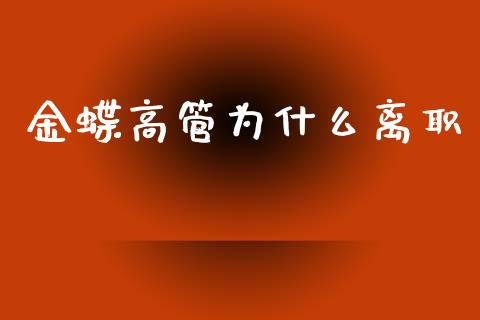金蝶高管为什么离职_https://wap.15771688.com_道指期货_第1张