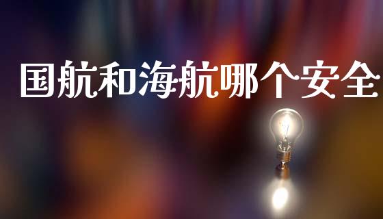 国航和海航哪个安全_https://wap.15771688.com_期货手续费一览表_第1张