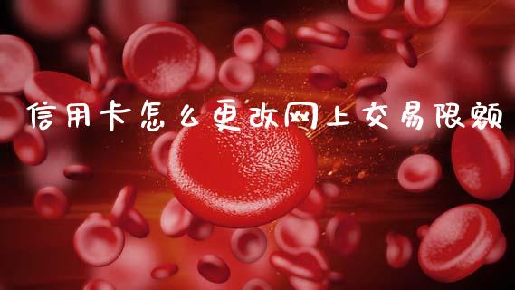 信用卡怎么更改网上交易限额_https://wap.15771688.com_道指期货_第1张