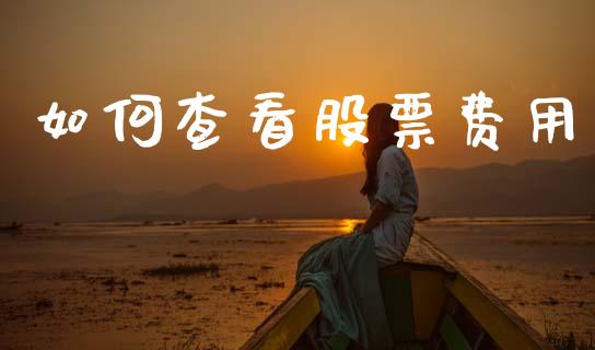 如何查看股票费用_https://wap.15771688.com_道指期货_第1张