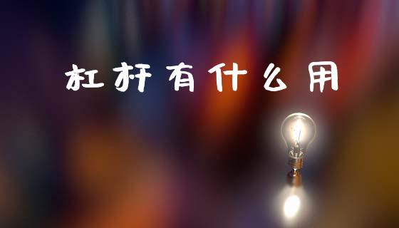 杠杆有什么用_https://wap.15771688.com_期货手续费一览表_第1张