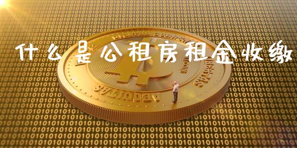 什么是公租房租金收缴_https://wap.15771688.com_国际期货_第1张