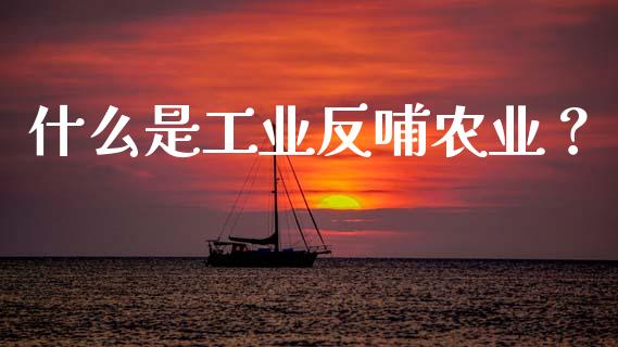什么是工业反哺农业？_https://wap.15771688.com_国际期货_第1张