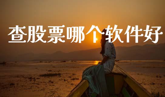 查股票哪个软件好_https://wap.15771688.com_道指期货_第1张