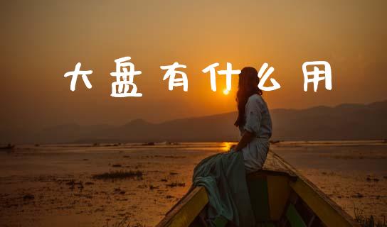 大盘有什么用_https://wap.15771688.com_期货手续费一览表_第1张