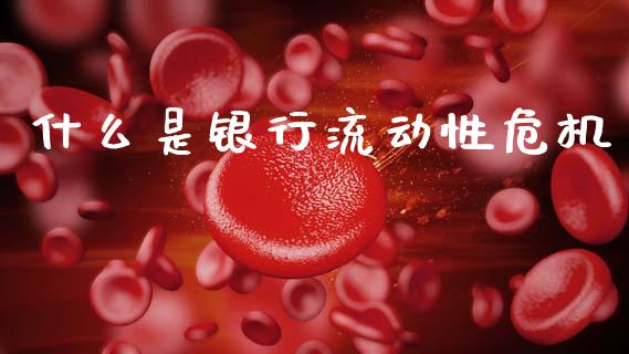 什么是银行流动性危机_https://wap.15771688.com_道指期货_第1张