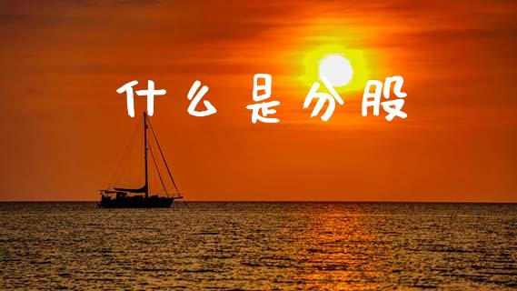 什么是分股_https://wap.15771688.com_道指期货_第1张