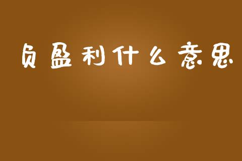 负盈利什么意思_https://wap.15771688.com_原油期货直播室_第1张