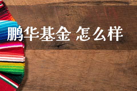 鹏华基金 怎么样_https://wap.15771688.com_原油期货直播室_第1张