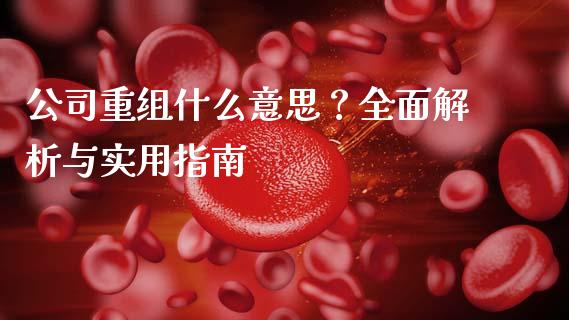 公司重组什么意思？全面解析与实用指南_https://wap.15771688.com_期货手续费一览表_第1张