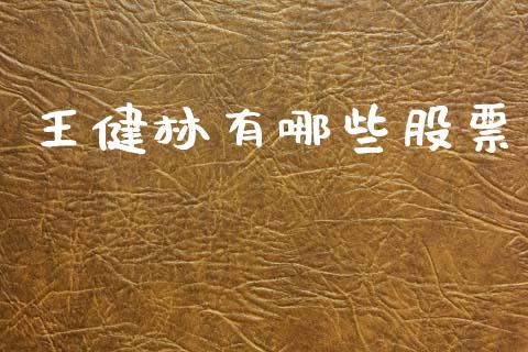 王健林有哪些股票_https://wap.15771688.com_期货手续费一览表_第1张