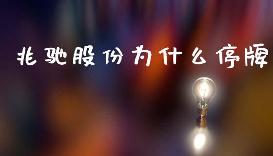 兆驰股份为什么停牌_https://wap.15771688.com_国际期货_第1张