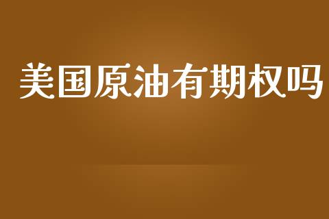 美国原油有期权吗_https://wap.15771688.com_原油期货直播室_第1张