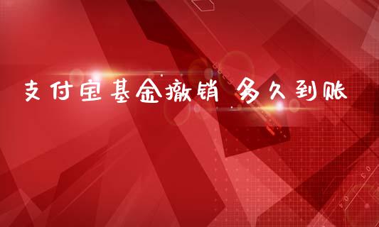 支付宝基金撤销 多久到账_https://wap.15771688.com_国际期货_第1张