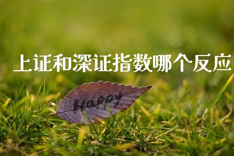 上证和深证指数哪个反应_https://wap.15771688.com_期货手续费一览表_第1张