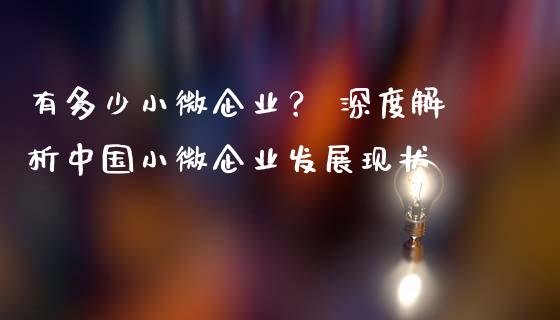 有多少小微企业？ 深度解析中国小微企业发展现状_https://wap.15771688.com_道指期货_第1张