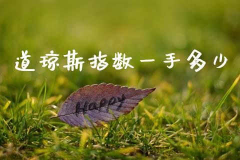 道琼斯指数一手多少_https://wap.15771688.com_期货手续费一览表_第1张