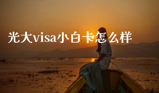光大visa小白卡怎么样_https://wap.15771688.com_国际期货_第1张