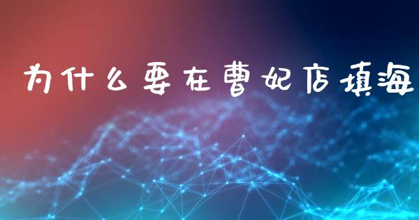 为什么要在曹妃店填海_https://wap.15771688.com_期货手续费一览表_第1张