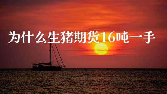 为什么生猪期货16吨一手_https://wap.15771688.com_道指期货_第1张
