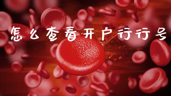怎么查看开户行行号_https://wap.15771688.com_国际期货_第1张