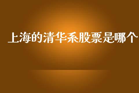 上海的清华系股票是哪个_https://wap.15771688.com_原油期货直播室_第1张