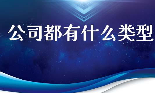 公司都有什么类型_https://wap.15771688.com_道指期货_第1张