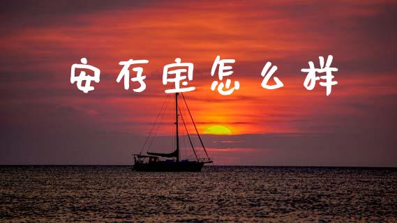 安存宝怎么样_https://wap.15771688.com_道指期货_第1张