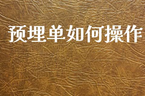 预埋单如何操作_https://wap.15771688.com_原油期货直播室_第1张