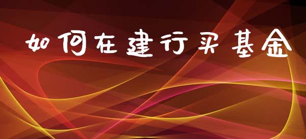如何在建行买基金_https://wap.15771688.com_原油期货直播室_第1张