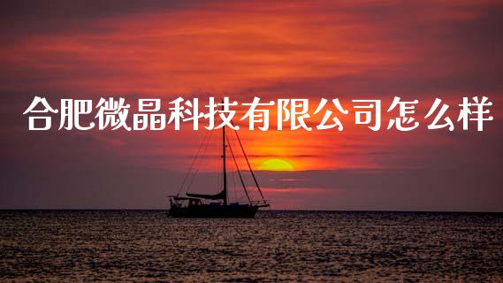 合肥微晶科技有限公司怎么样_https://wap.15771688.com_期货手续费一览表_第1张