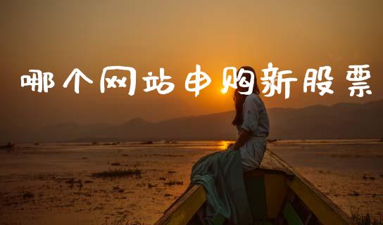 哪个网站申购新股票_https://wap.15771688.com_国际期货_第1张