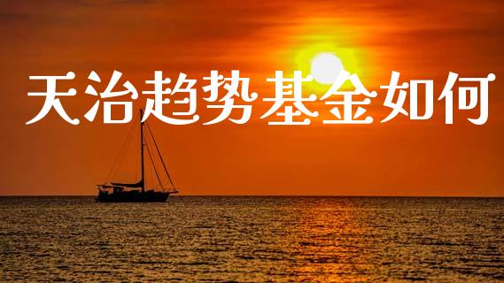 天治趋势基金如何_https://wap.15771688.com_期货手续费一览表_第1张