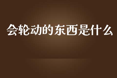 会轮动的东西是什么_https://wap.15771688.com_国际期货_第1张