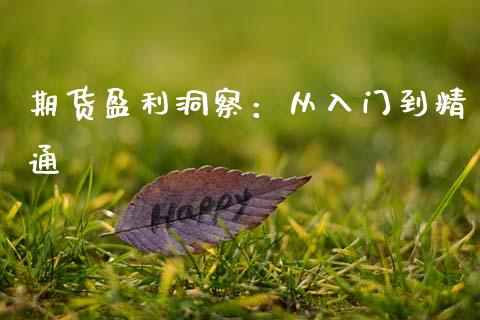 期货盈利洞察：从入门到精通_https://wap.15771688.com_道指期货_第1张