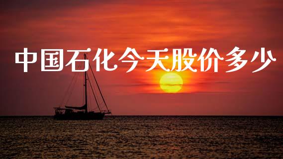中国石化今天股价多少_https://wap.15771688.com_道指期货_第1张
