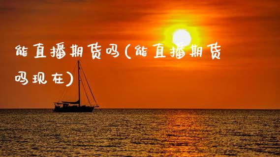 能直播期货吗(能直播期货吗现在)_https://wap.15771688.com_期货手续费一览表_第1张