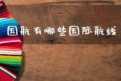 国航有哪些国际航线_https://wap.15771688.com_期货手续费一览表_第1张