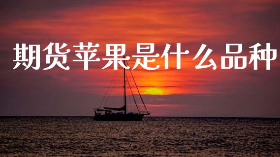 期货苹果是什么品种_https://wap.15771688.com_国际期货_第1张