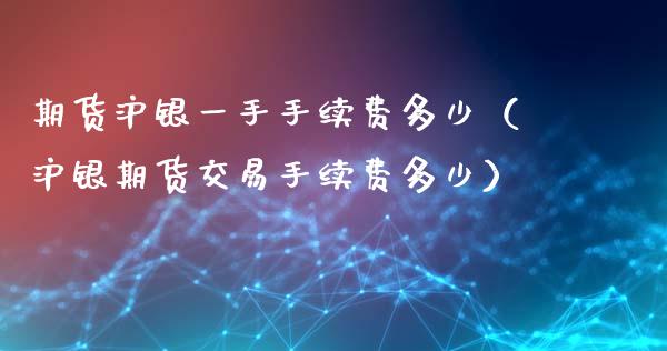 期货沪银一手手续费多少（沪银期货交易手续费多少）_https://wap.15771688.com_国际期货_第1张