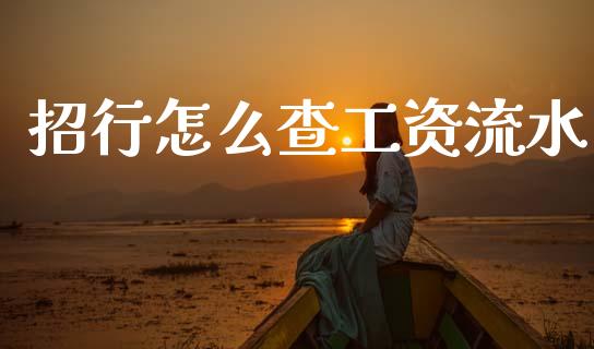 招行怎么查工资流水_https://wap.15771688.com_道指期货_第1张