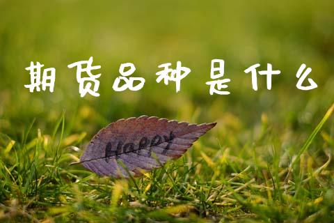 期货品种是什么_https://wap.15771688.com_期货手续费一览表_第1张
