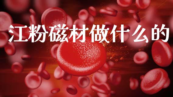 江粉磁材做什么的_https://wap.15771688.com_原油期货直播室_第1张