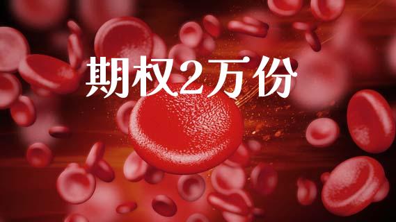 期权2万份_https://wap.15771688.com_期货手续费一览表_第1张