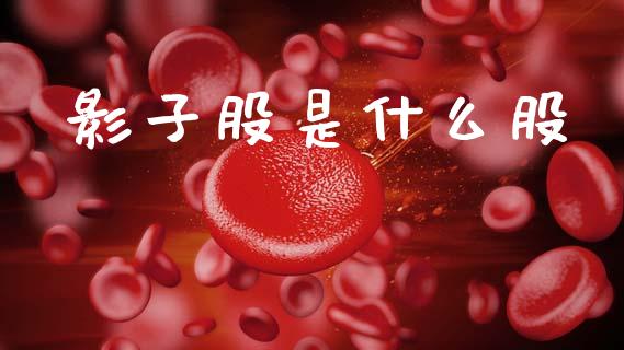 影子股是什么股_https://wap.15771688.com_道指期货_第1张