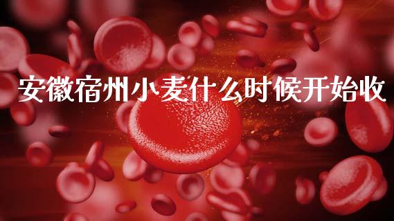 安徽宿州小麦什么时候开始收_https://wap.15771688.com_道指期货_第1张