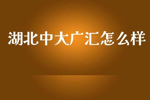 湖北中大广汇怎么样_https://wap.15771688.com_国际期货_第1张